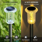 Solar Path Lights | Waterproof Garden & Walkway Lighting