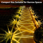 Solar Path Lights | Waterproof Garden & Walkway Lighting
