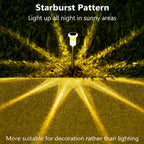 Solar Path Lights | Waterproof Garden & Walkway Lighting