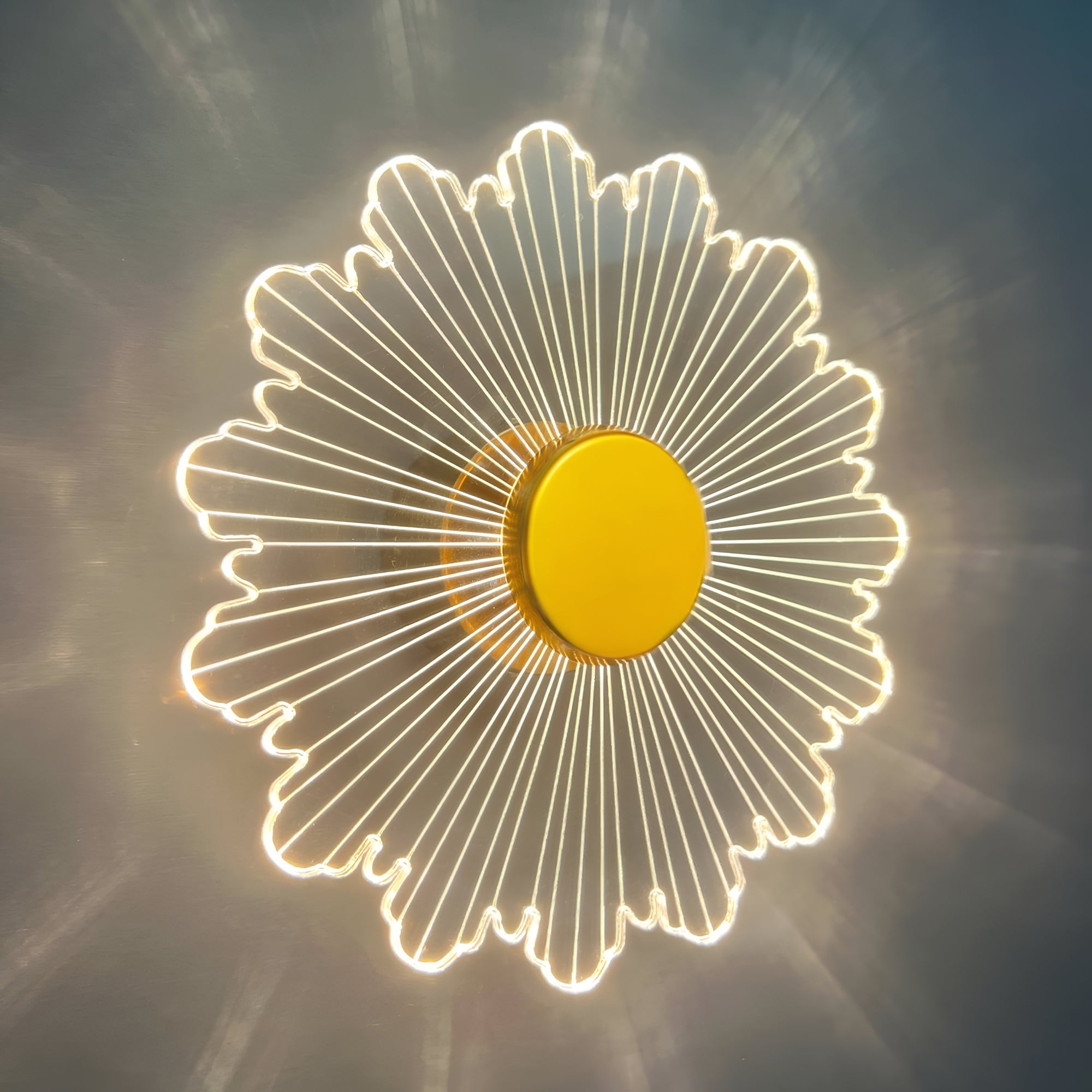 Luminous Flower LED Wall Light | 23 cm Acrylic Decorative Lamp