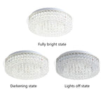 LED Crystal Ceiling Chandelier Light